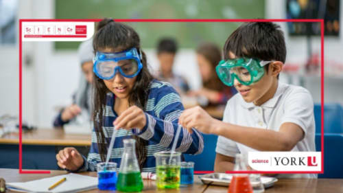 York University; Science Engagement, CSI: Camp Scene Investigation