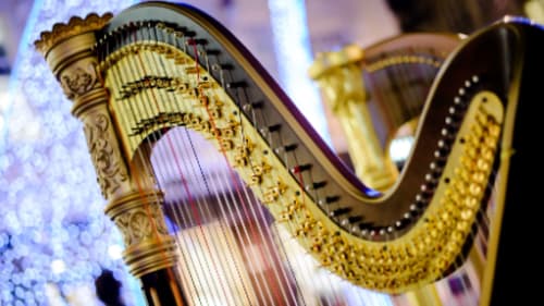 Neighbour Note Music Camps & Lessons, Harp Lessons (In-Home, Online, or Studio)