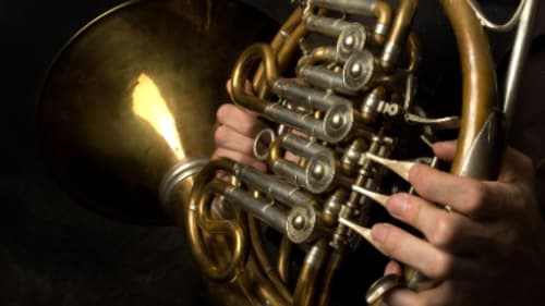 Neighbour Note Music Camps & Lessons, French Horn Lessons (In-Home, Online, or Studio)