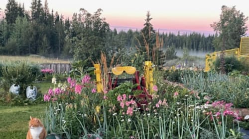 Ranch Wellness, Open Farm Days