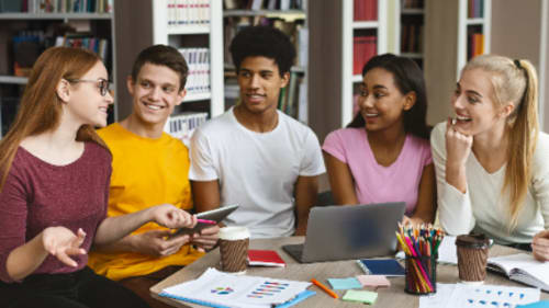 Devenish Educational Consulting: Coaching for School and Life Success, Executive Functions - Post-Secondary Success