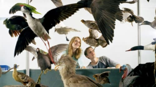 Royal Ontario Museum Kids (ROMKids), Fall Saturday Club (Morning): Against the Current