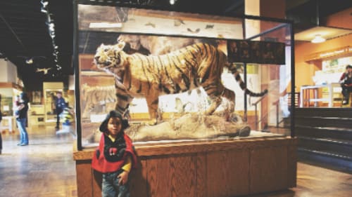 Royal Ontario Museum Kids (ROMKids), Fall Saturday Club (Afternoon): Around the World