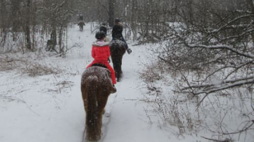 Rocky Ridge Ranch, Christmas Day Camp