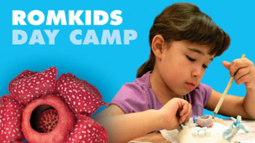 Royal Ontario Museum Kids (ROMKids), ROMKids PA Day Camp