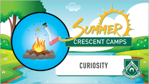 Crescent Camps, Curiosity-Chess & Strategy Board Games