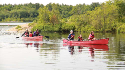 YMCA John Island Camp and YMCA NEO Summer Day Camps , Saplings
