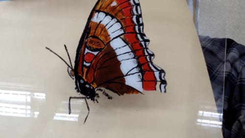 Neilson Park Creative Centre, Acrylic Mirror-Image Painting Workshop