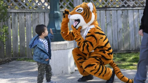 Ridley College Summer Programmes, Junior Literacy Programme