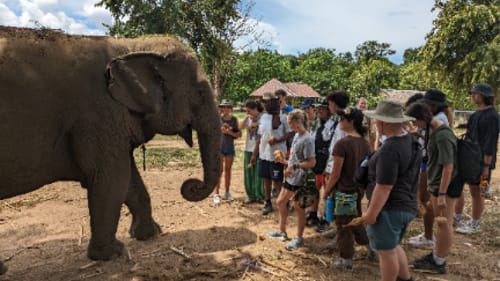 Global Leadership Adventures , Thailand: Elephants, Education & Cultural Discovery