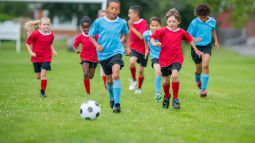 Empower Learning Centre, Sports and Nutrition Camp