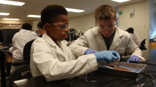 uOttawa Engineering Outreach, STEM and Sports Camp 2