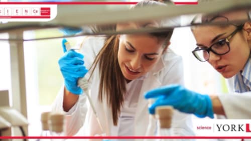 York University; Science Engagement, Anatomy and Physiology