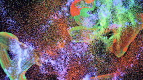 Neilson Park Creative Centre, Flow and Glow is the Tempo