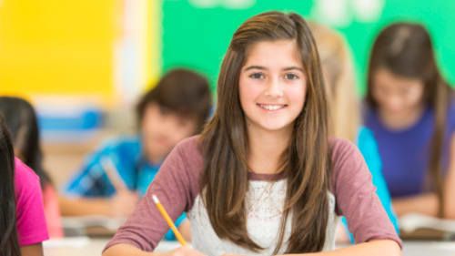Write on Q, Reading Comprehension Strategies - Advanced