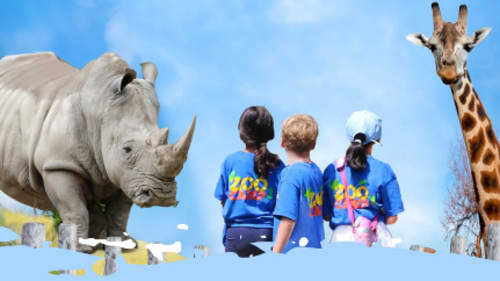Toronto Zoo - Zoo Camp, Zoo Camp