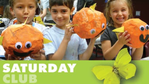 Royal Ontario Museum Kids (ROMKids), Fall Saturday Club (Morning): Land & Sea