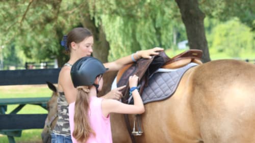 Teen Ranch, Western Horseback Riding - Ultimate Day Camp