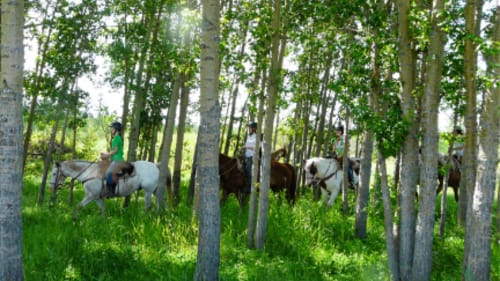 Ranch Wellness, Summer Trail Rides