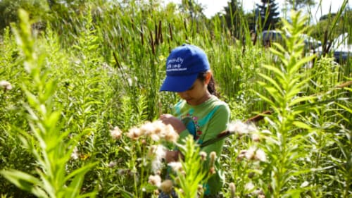 The Pine Project, Summer Day Camp