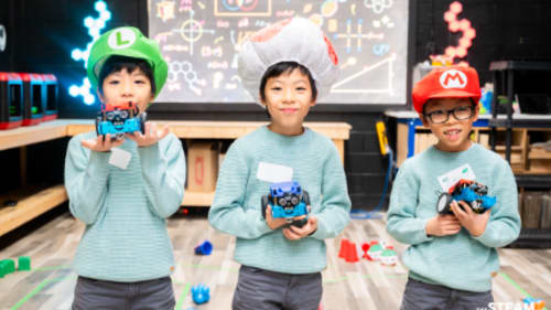 The STEAM Project, TSP Birthday Party (Ages 5+)