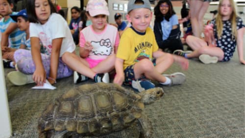 Camp KidsTown, Animal Planet - Milton