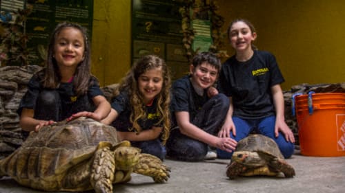 Reptilia Zoo Inc., ReptiCamp - Vaughan - Day Camp