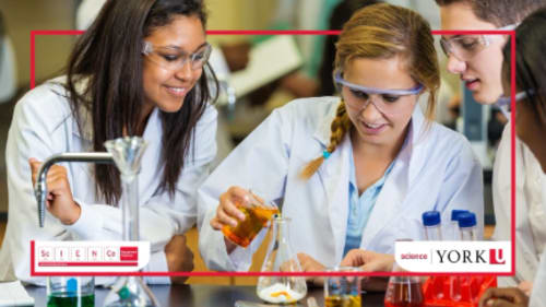 York University; Science Engagement, Neuroscience 1.0: Meet the Mind