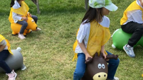 Central Montessori Schools, CMS Summer Camp Programs