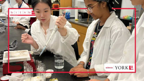 York University; Science Engagement, Biomedical Science