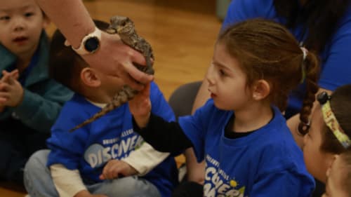UC Summer Programs, Senior Discovery Camp