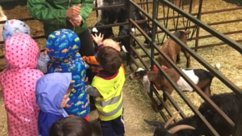 GNAG Traditional and Specialty Camps and Programs, Animal Kingdom JK - Grade 1