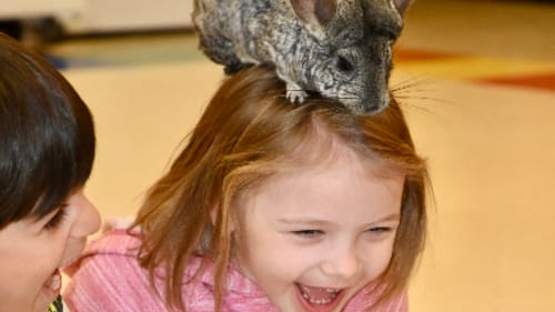 GNAG Traditional and Specialty Camps and Programs, ZOO Crew: Pet Pals Gr 1 - 3