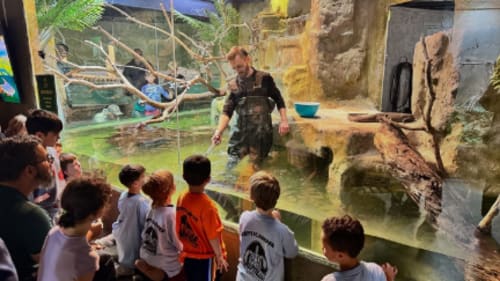 Reptilia Zoo Inc., ReptiCamp - Vaughan - Summer Day Camp
