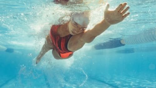 Mayfair Clubs, Lakeshore- Fall - Swim Team
