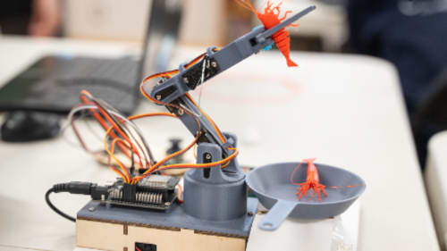 The STEAM Project, Robotic Arm (Gr.5-8)