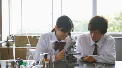 Empower Learning Centre, Academic Support - All Sciences