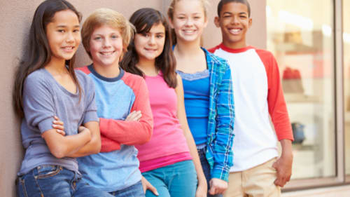 Devenish Educational Consulting: Coaching for School and Life Success, Executive Functions - Keys to Success - Middle School