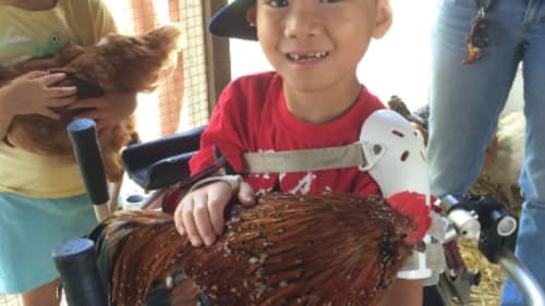 WindReach Farm, Acres of Fun Summer Camp
