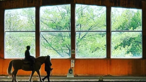 WindReach Farm, Therapeutic Riding Program