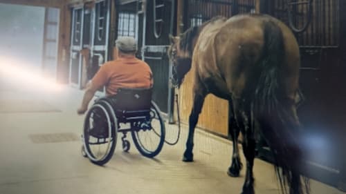 WindReach Farm, Equine Assisted Learning