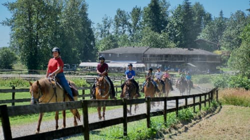 Timberline Ranch, Homeschool Camp