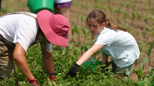 Lakefield College School Summer Programs, Farming Adventures