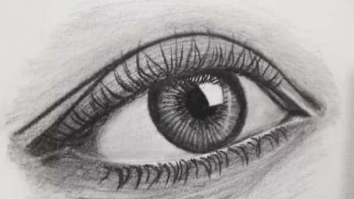 Neilson Park Creative Centre, How to Draw with Nima Arabi: Pencil, Charcoal, Conte, Ink, and More