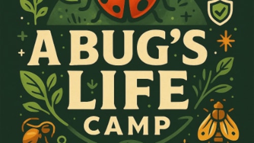 The JunXion, A Bug's Life Camp