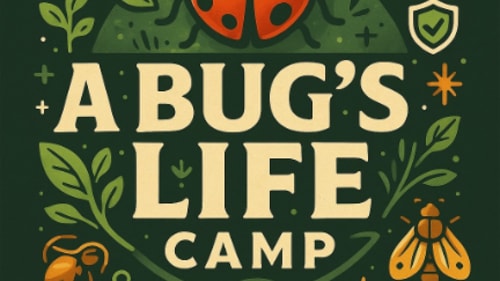 The JunXion, A Bug's Life Camp