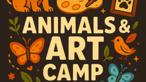 The JunXion, AA Camp For Kids