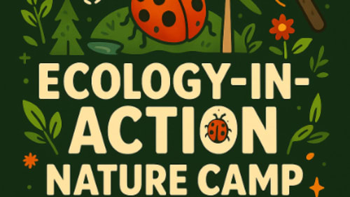 The JunXion, Ecology-In-Action Camp