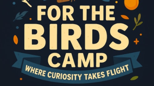 The JunXion, For The Birds Camp