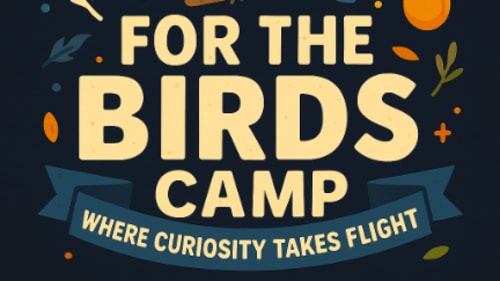 The JunXion, For The Birds Camp